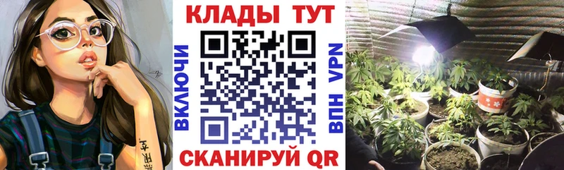 Купить Cocaine  Конопля  Галлюциногенные грибы  ГАШИШ  Меф мяу мяу  СК  Ельня