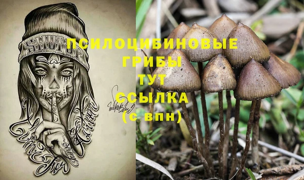 ALPHA PVP Богородск