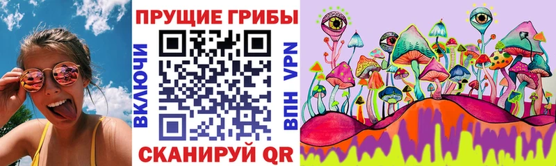 Псилоцибиновые грибы мицелий  Купить закладки  Ельня 